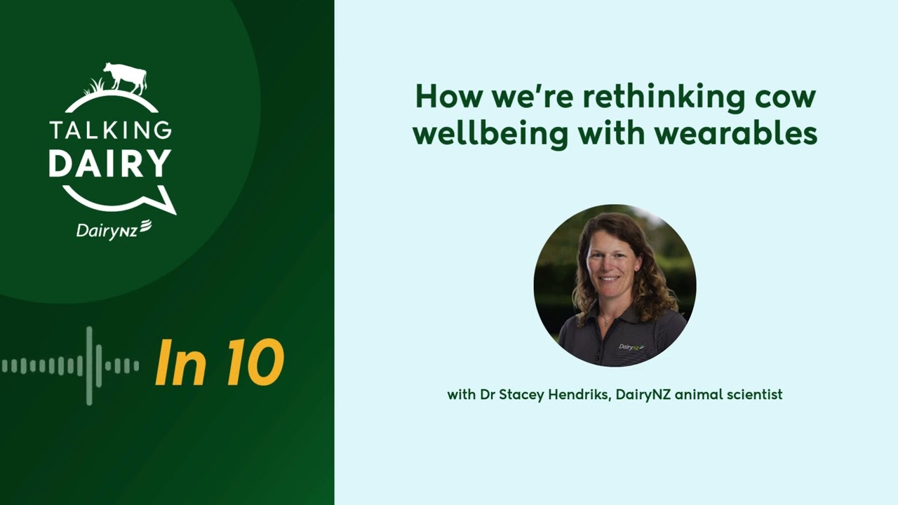 Talking Dairy In 10: How we're rethinking cow wellbeing with wearables