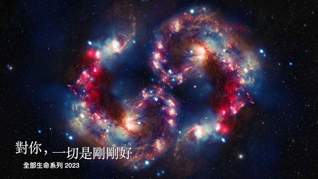 楊定一：對你，一切是剛剛好