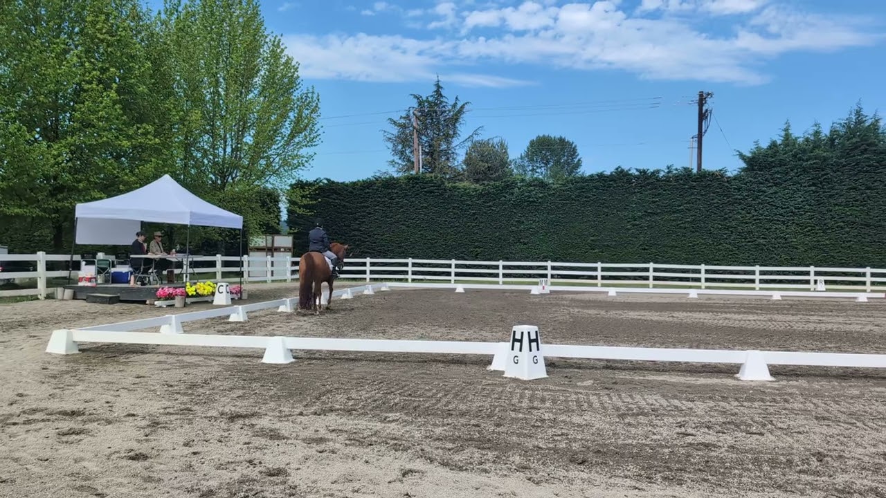 USDF Training Level Test 3 - Apollo - 66.8%