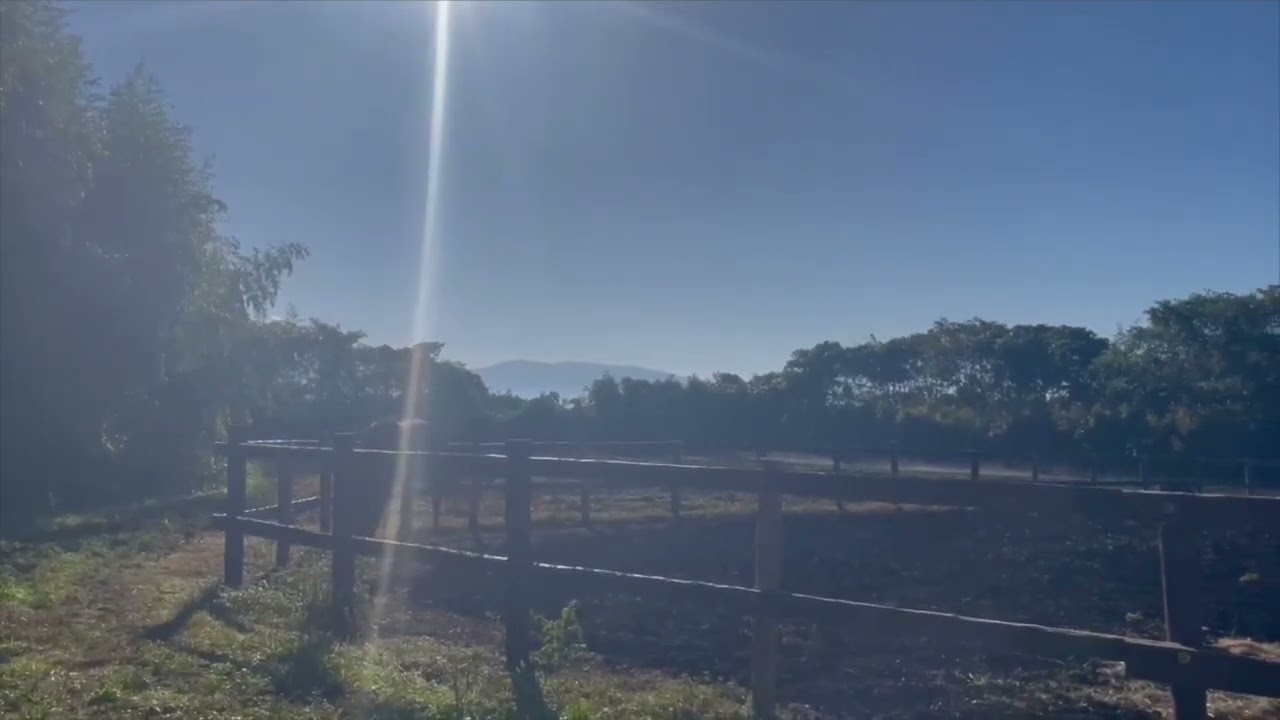 九州で生産牧場を始めました