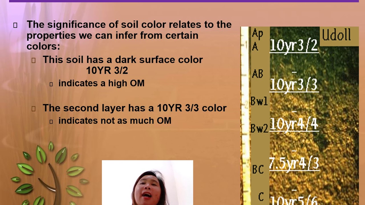 Soil Physical Properties: Soil Color and Texture