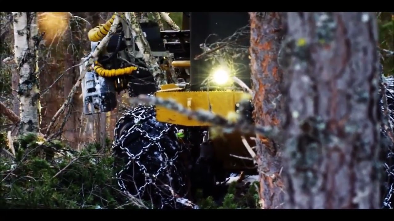 Harvester Tigercat 1135 in Sweden   Tigercat '20'