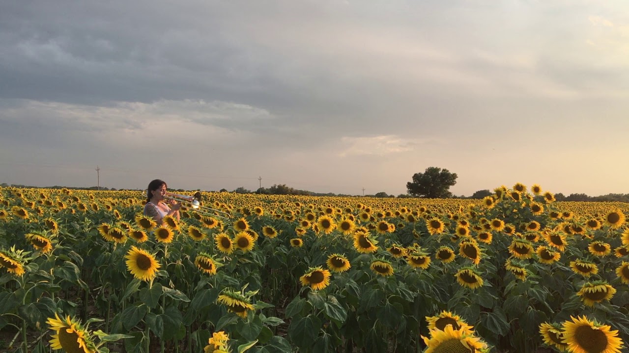 East Of The Sun - Alba Pujals