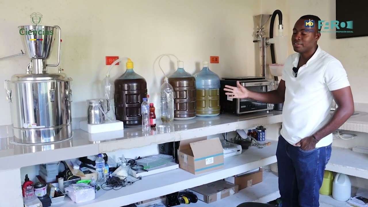 La revoluci&oacute;n del cacao como biocombustible