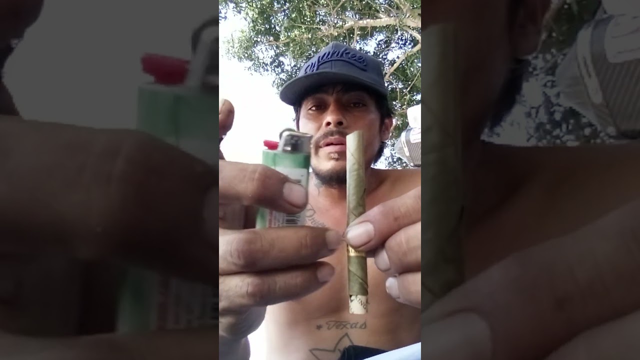 King Palms Real Leaf Rolls