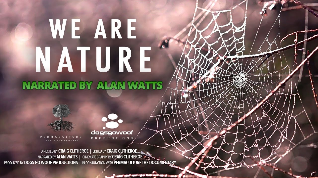 Alan Watts - We are nature