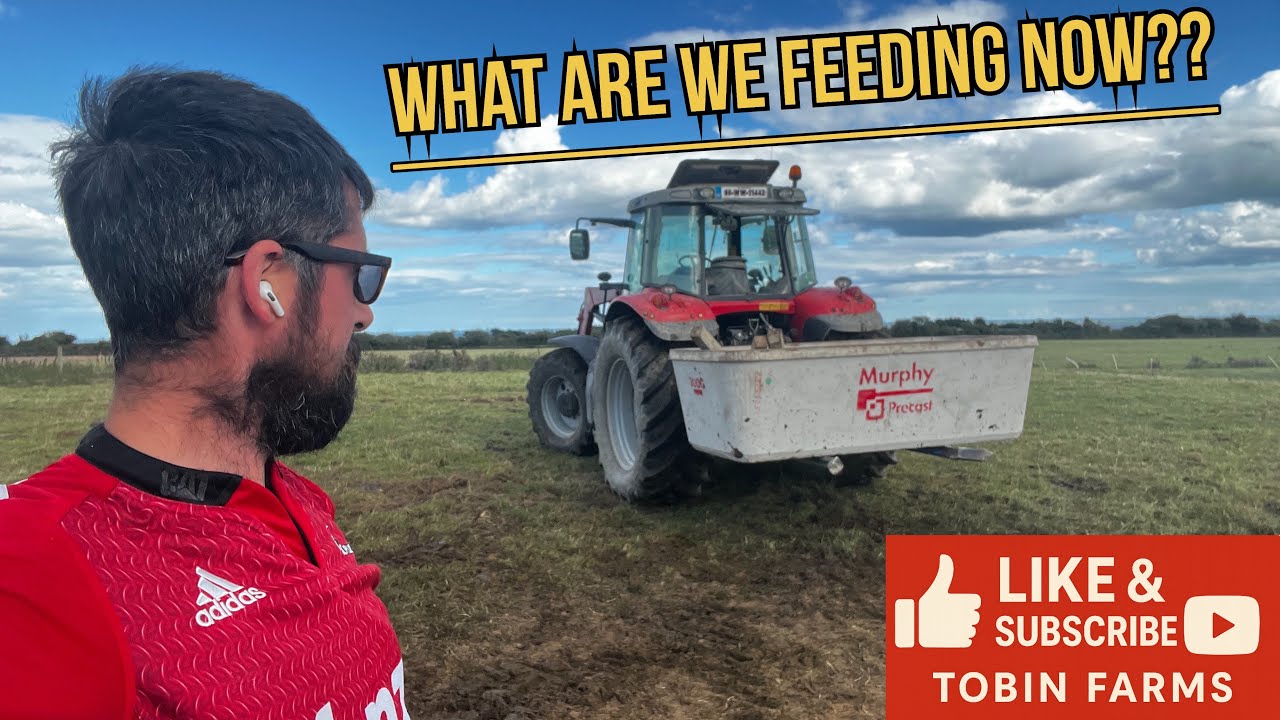 FEEDING THE COWS SOMETHING NEW! || WILL IT WORK??