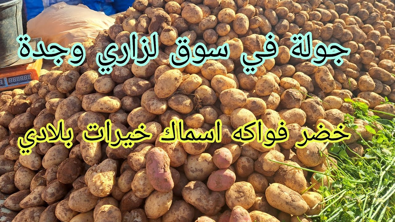 #جولة في سوق لزاري وجدة #تبارك الله الخير ديال الخضر والفواكه والحوت جديد #اللهم ادمها نعمة 🙏🙏
