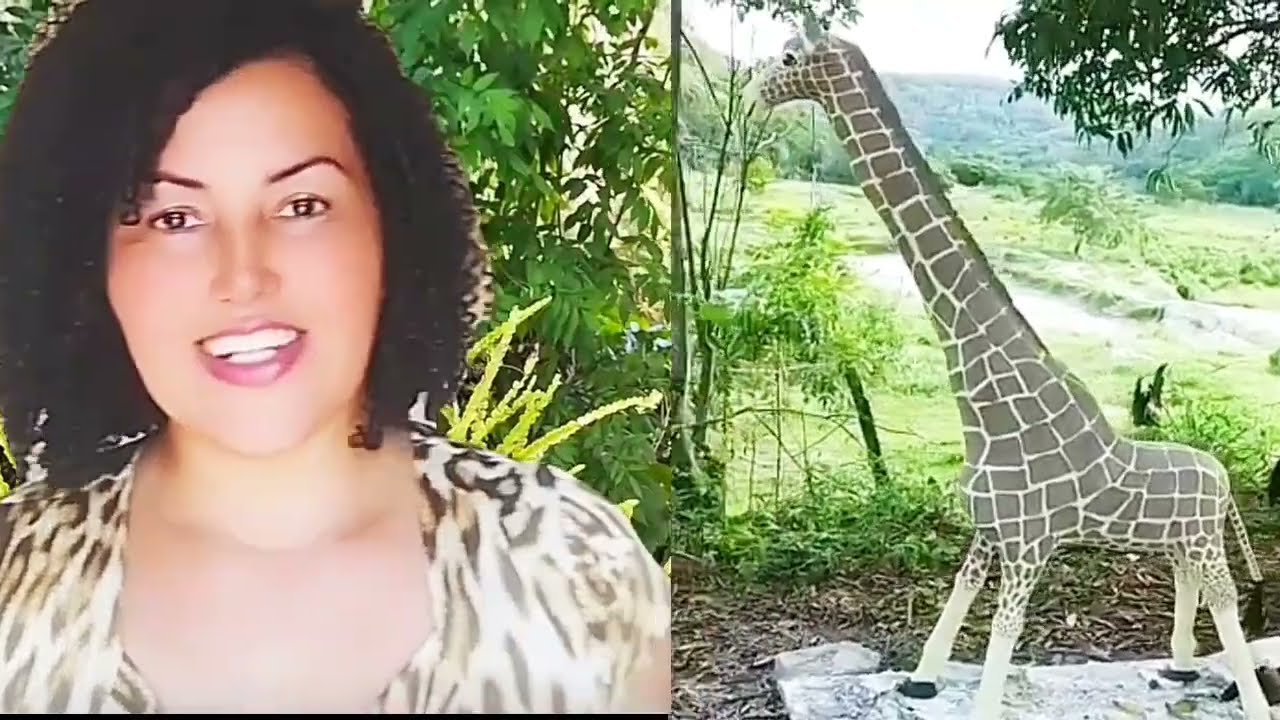 Nova Técnica De Fazer Girafa De Cimento 