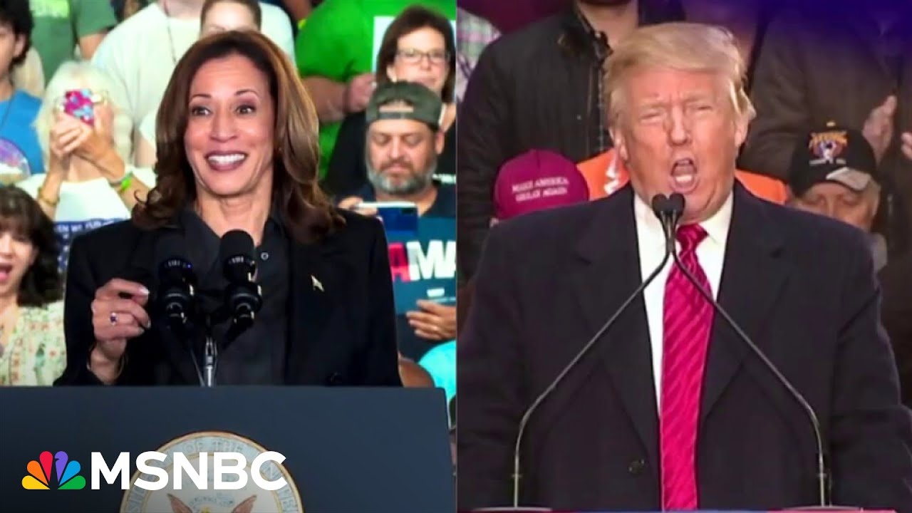 ‘Blatant voter suppression’: Red states aggressively purge voters as Harris beats Trump in new poll