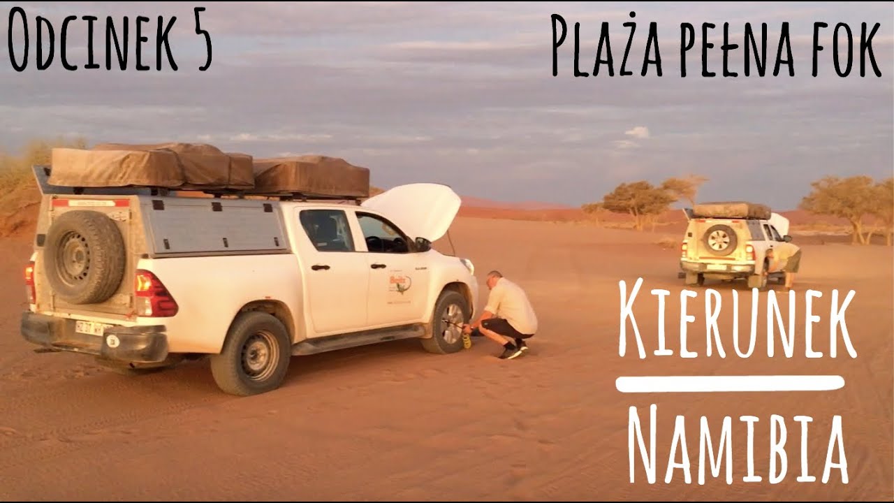 Kierunek: Namibia 🌐 Plaża pełna fok (s01e05)