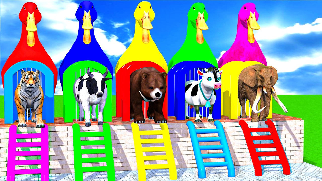 Long Slide Game With Cow Elephant Gorilla Hippopotamus Tiger 3d Animal Game Funny 3d Animals