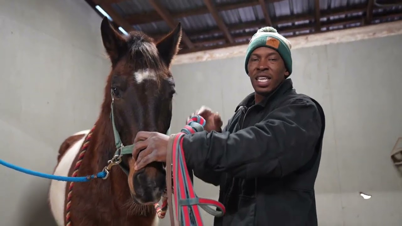 Day 5 Breaking My New Horse Roscoe | Making Good Progress 🤙🏾