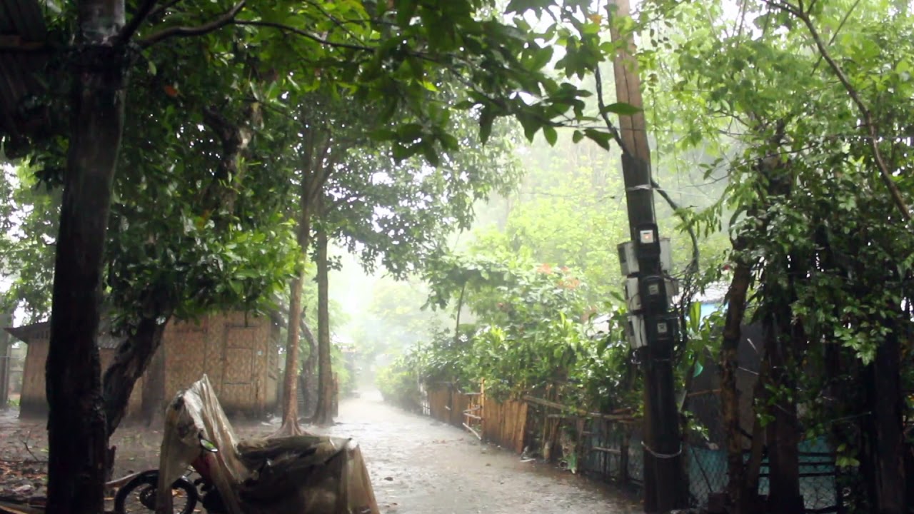 Sound Of Tropical Stom (Rain & Thunder) - Perfect for Meditation or Deep Sleep.