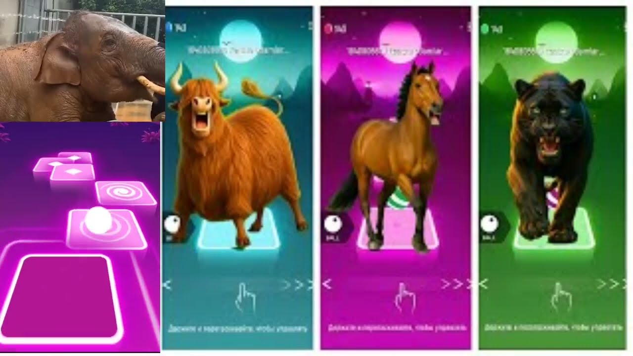 Funny Animals - Horse 🆚 Tiger 🆚 Elephant 🆚 Cow 🎵 Tiles Hop #part22