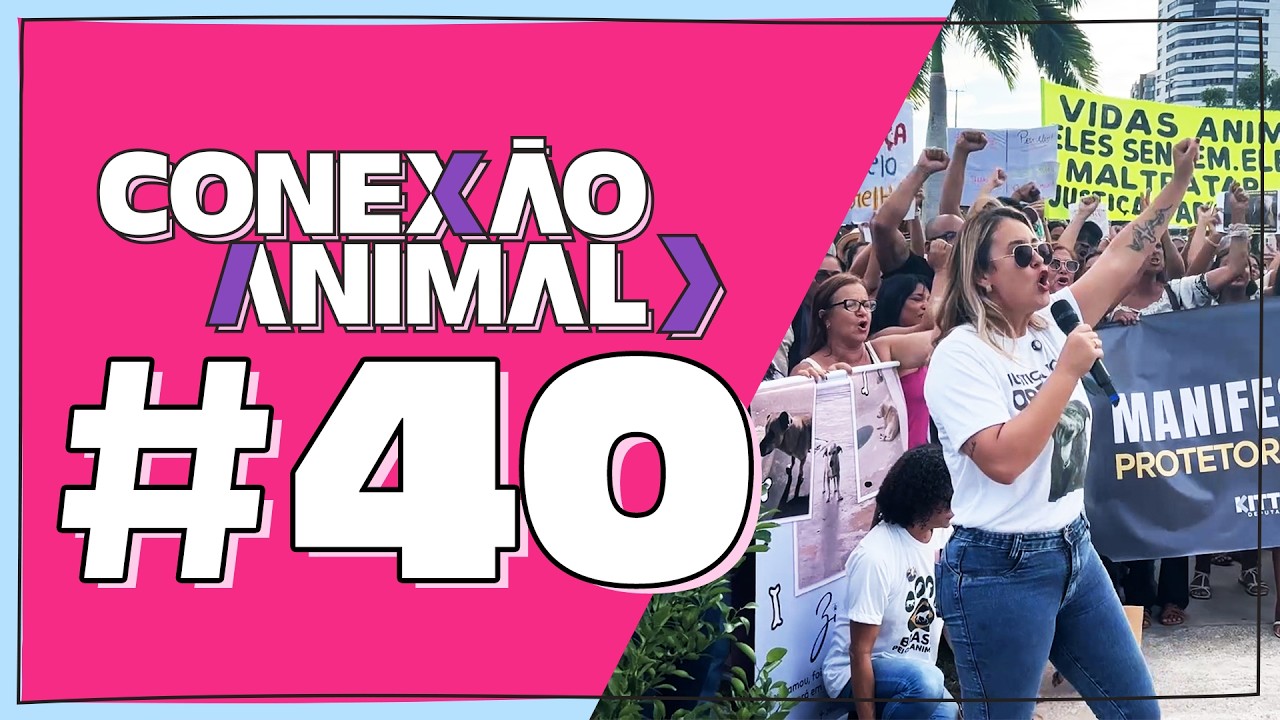 PROGRAMA CONEXÃO ANIMAL #40 07/02/2026
