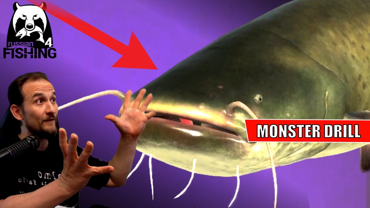 Russian Fishing 4 - Achtuba - Monster Drill beim Wels angeln