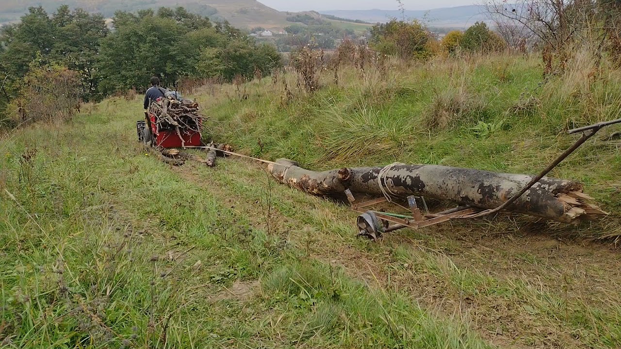 La pădure cu motocultorul Energo(+ am tras ditamai bulumacul după remorca încărcată cu lemne)