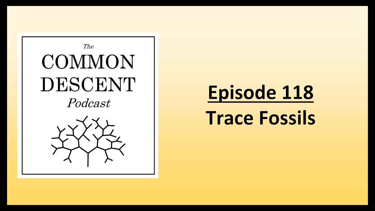 Episode 118 - Trace Fossils