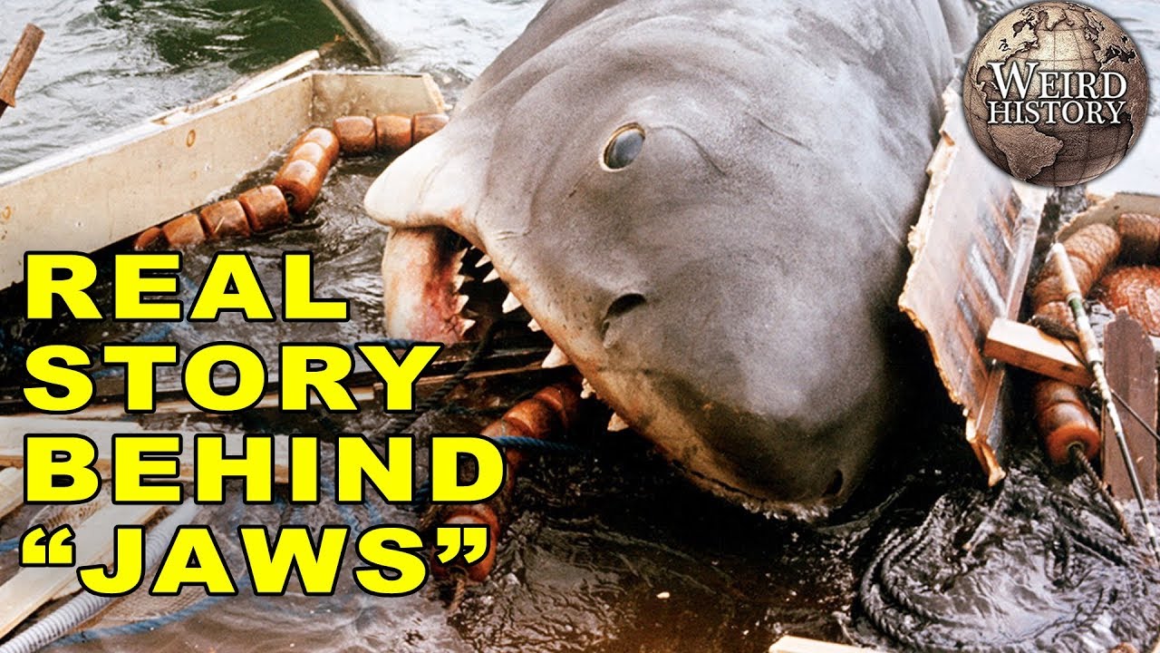 The Matawan Man-Eater | The Inspiration for Jaws