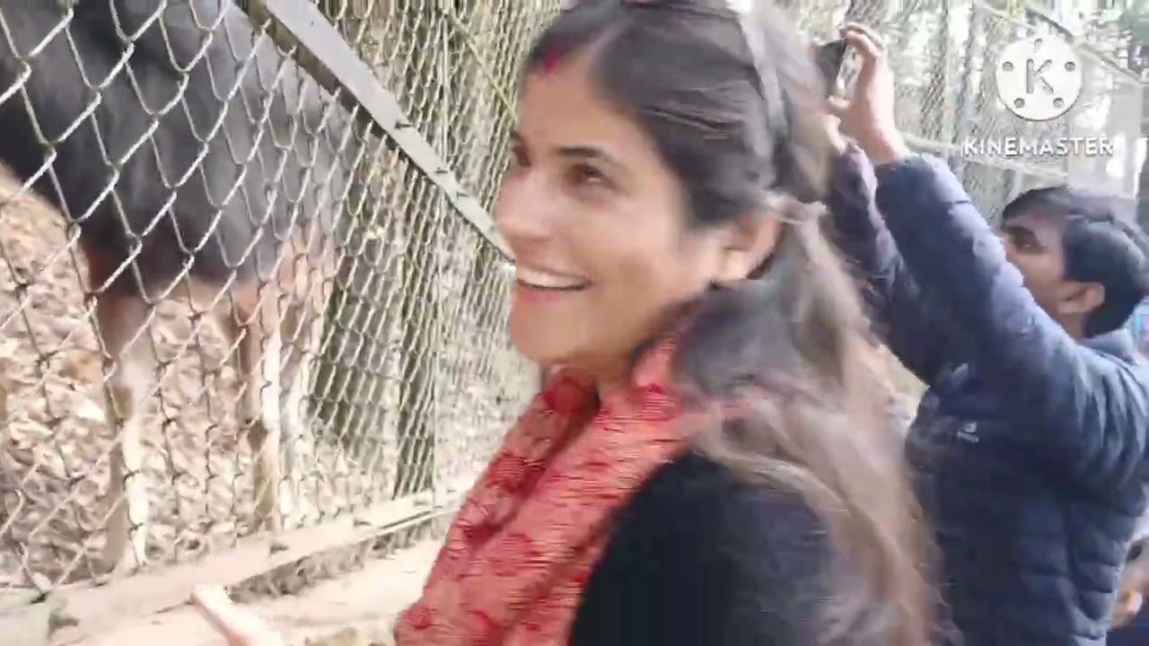 Nanital zoo #ajj hum Nanital zoo dakhna gay tha