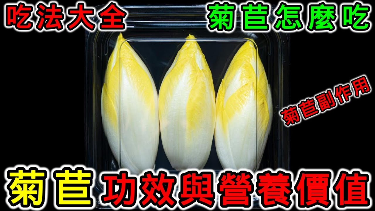 【養生】菊苣是什麼？菊苣的功效與營養價值，菊苣怎麼吃？吃法大全！菊苣的副作用與注意事項！
