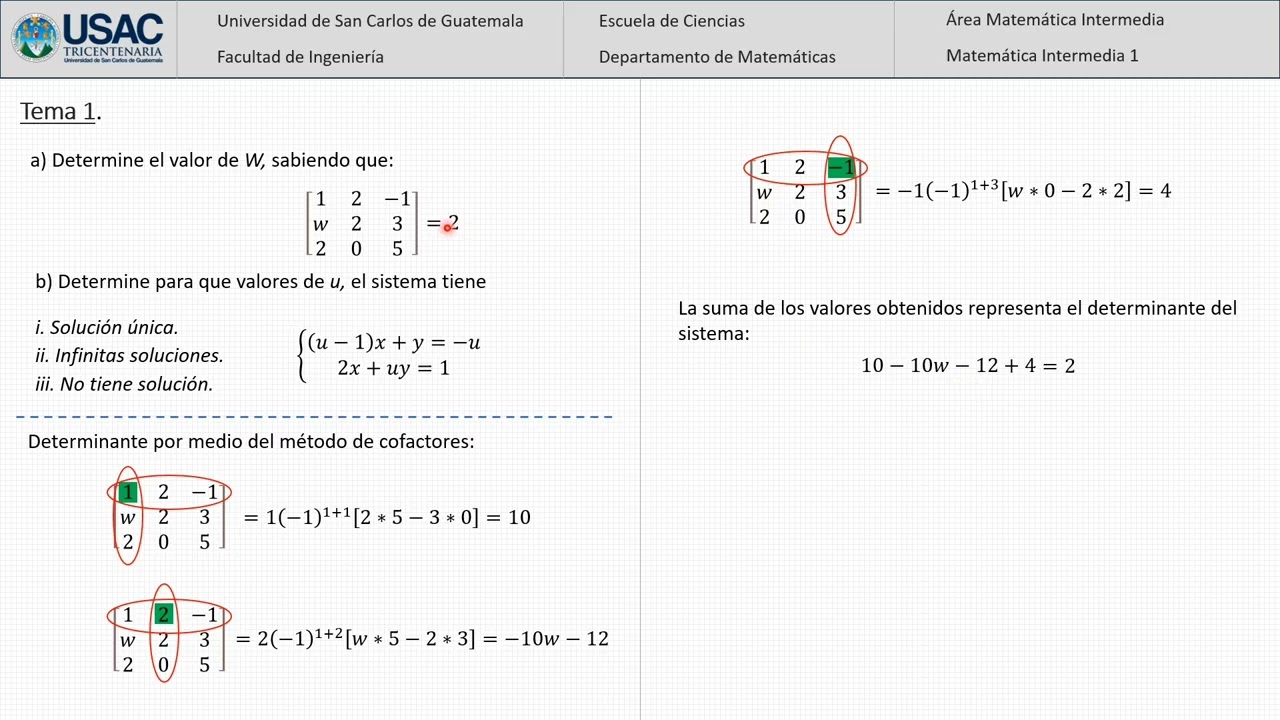 CÁLCULO DE DETERMINANTES - Video Tema Clave Examen MI1 -169