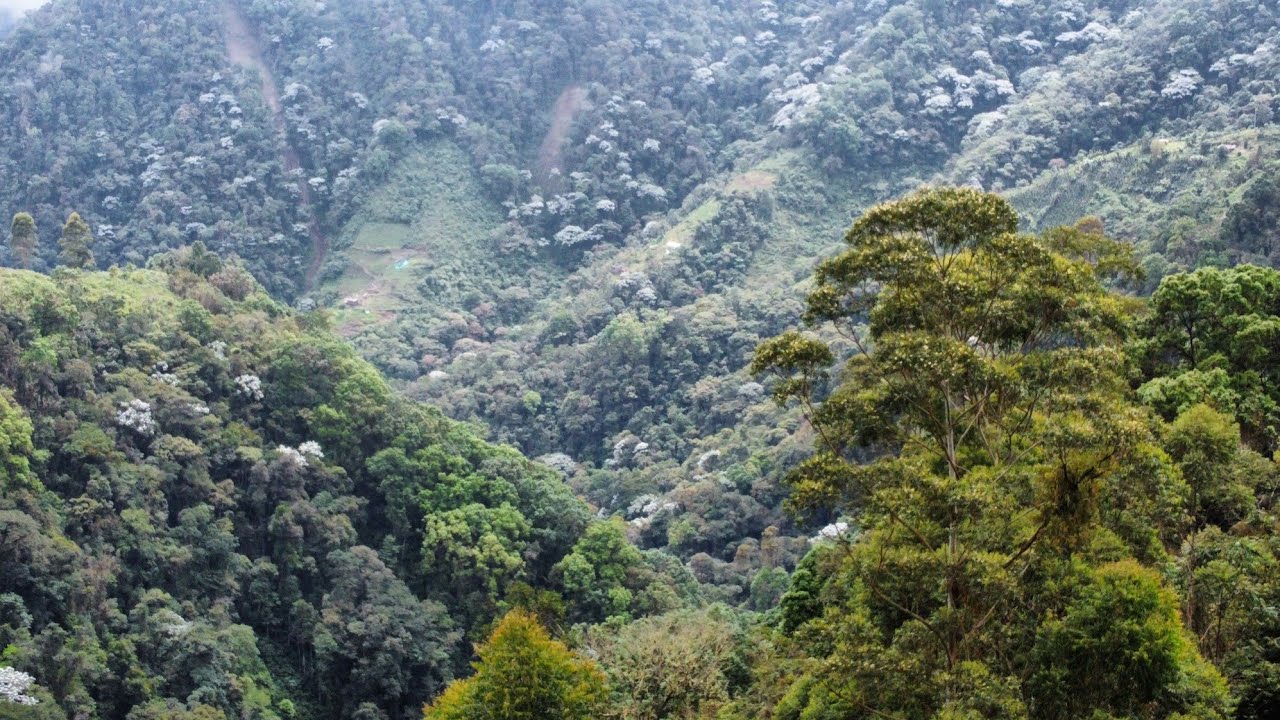 Paseo a Campamento,  Santuario,  Risaralda 