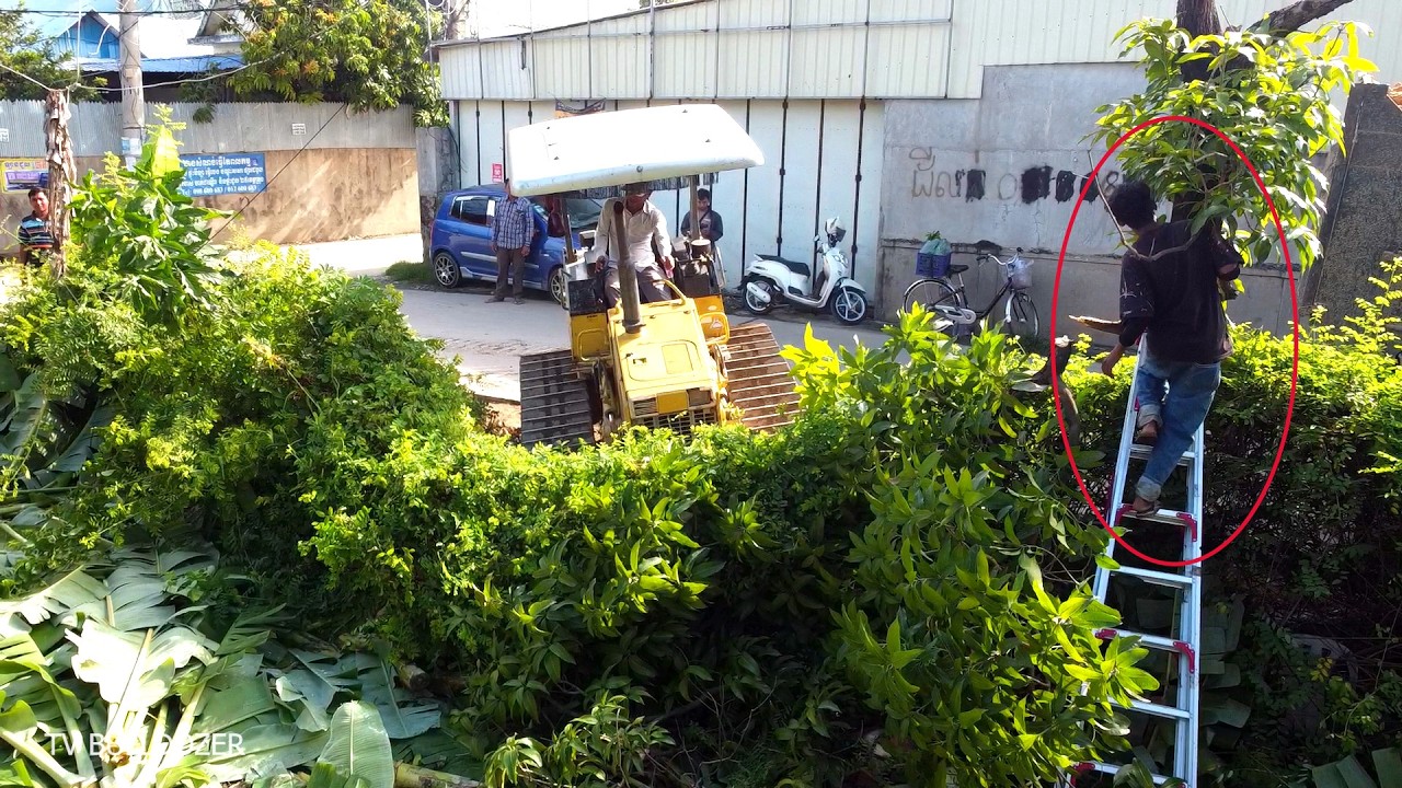 First Start A New Project!!! LANDFILL DELETE Garbage By DOZER D20P Push Soil & Dump Truck Unloading