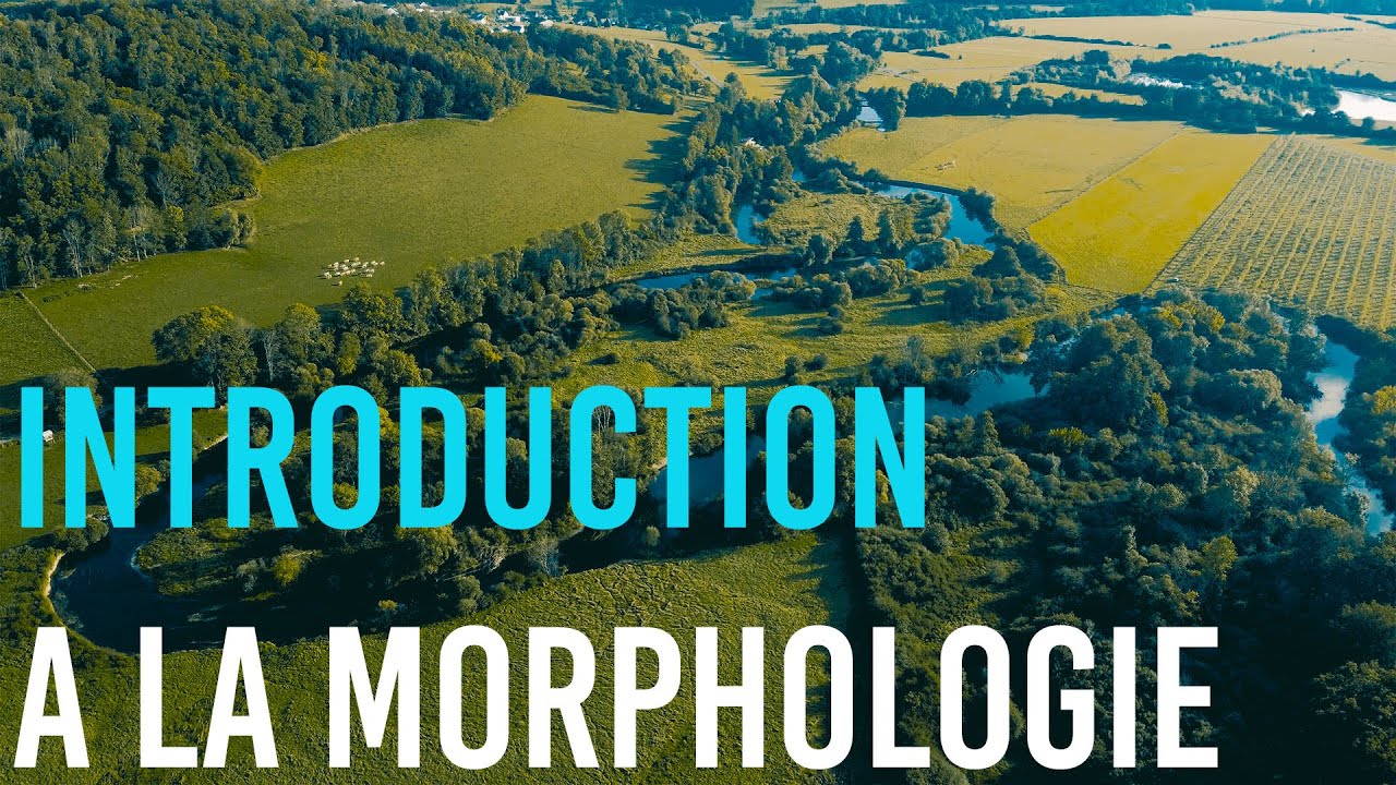 Introduction &agrave; l'hydromorphologie