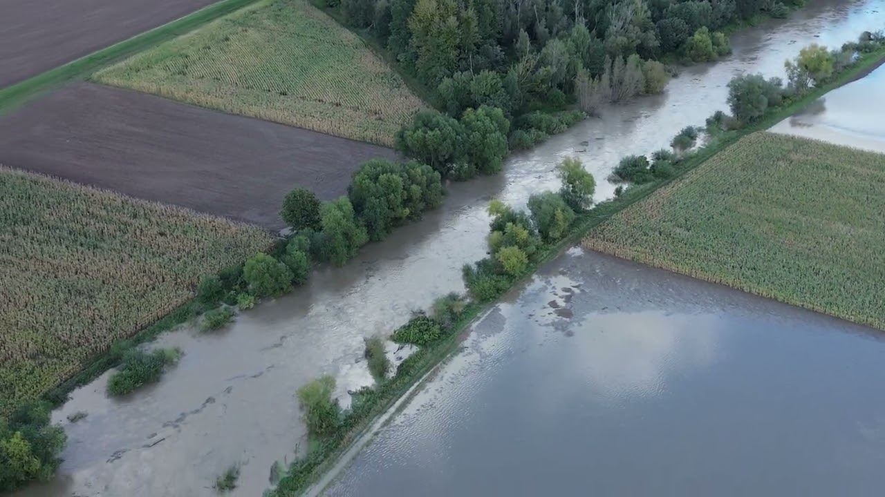 Ptakowice | Kantorowice Nysa Kłodzka 15:40 15.09.2024 r.