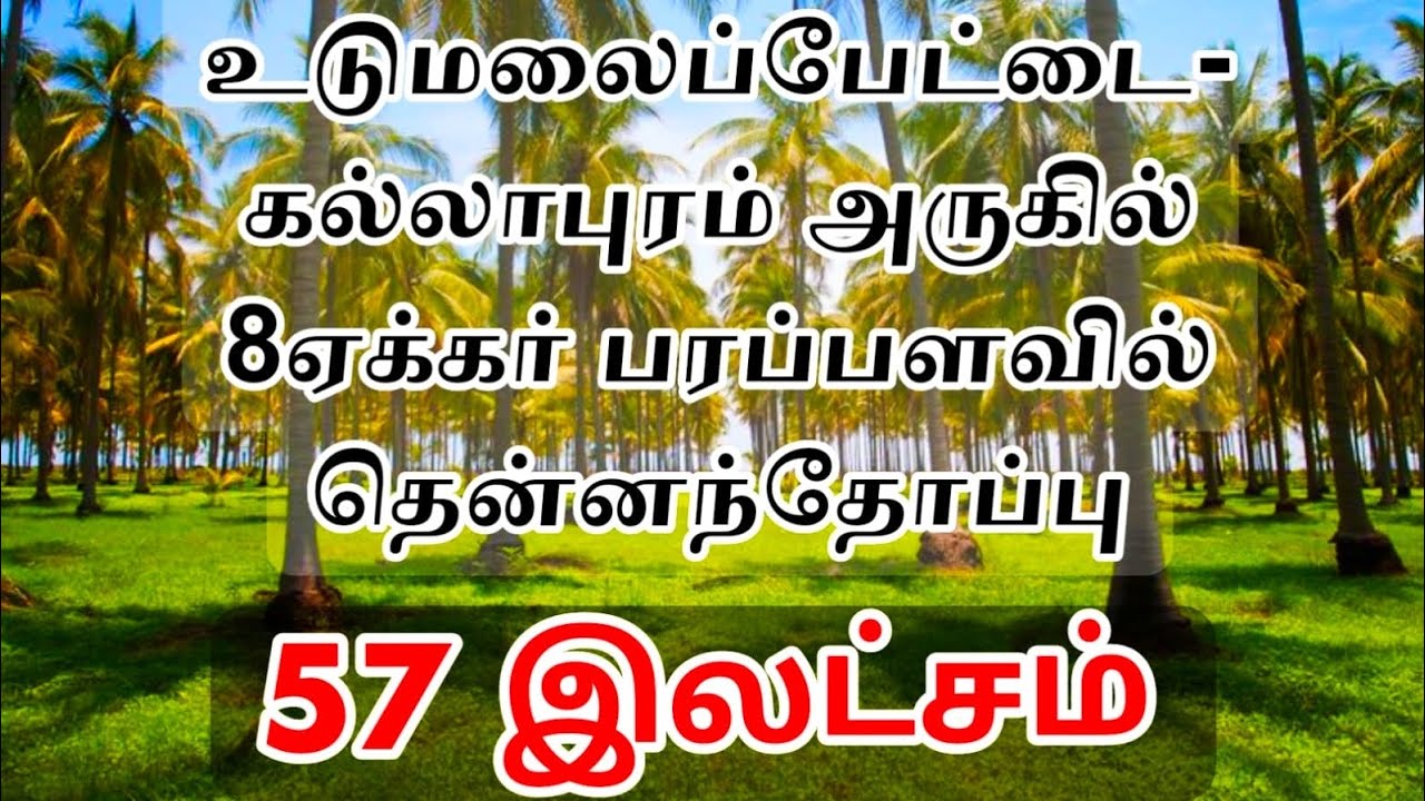 உடுமலைப்பேட்டை அடுத்த கல்லாபுரம் அருகில் 8 ஏக்கர் பரப்பளவில் தென்னந்தோப்பு ஏக்கர் 57இலட்சமா???