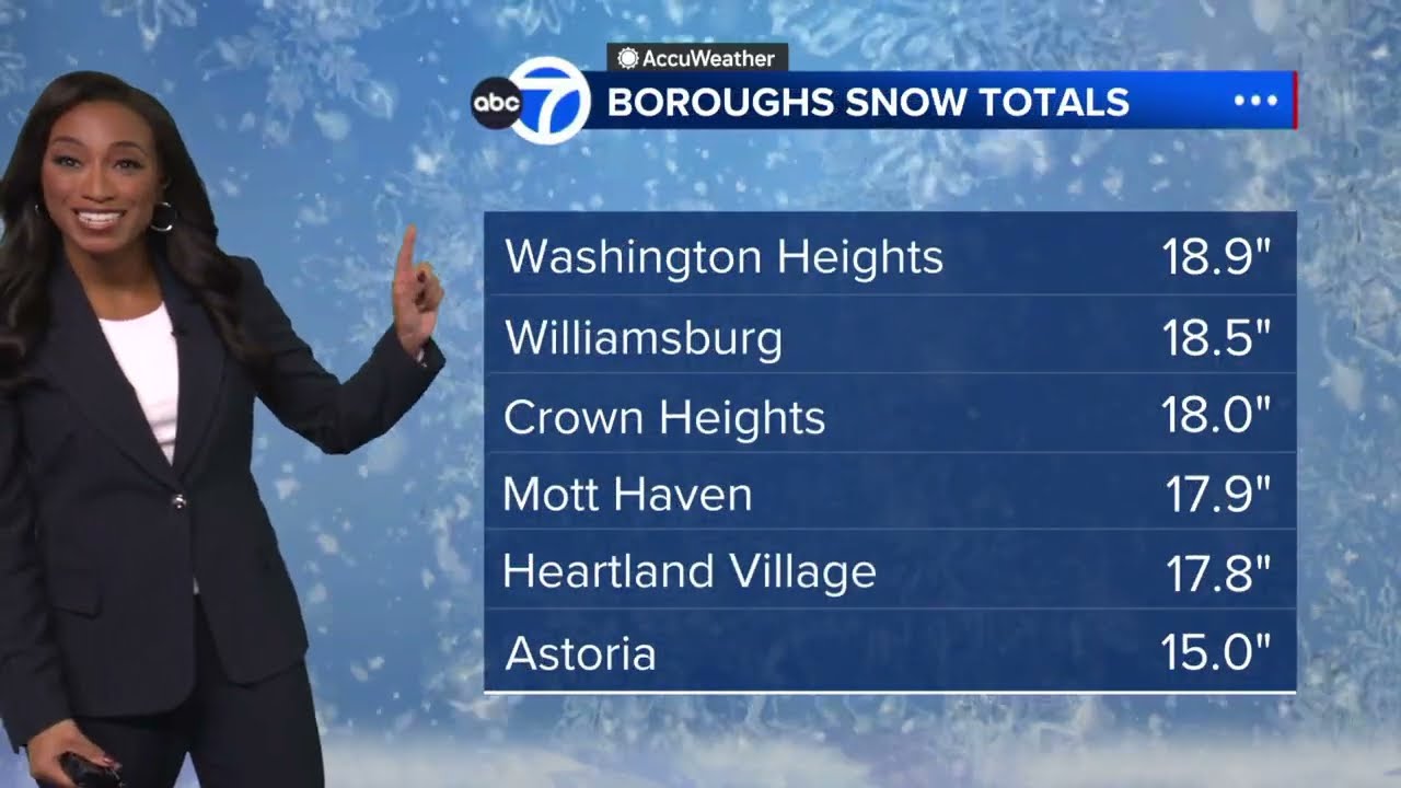 AccuWeather Alert: Blizzard conditions