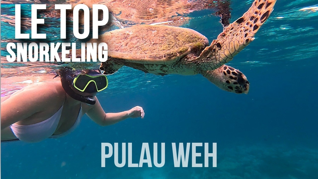 🇮🇩 Sumatra, Indonésie #3 Pulau Weh : le paradis du snorkeling !