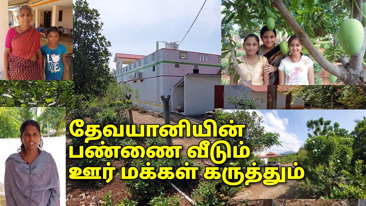 தேவயானியின் பண்ணை வீடு | ஊர் மக்கள் பேட்டி | Devayani Farm House