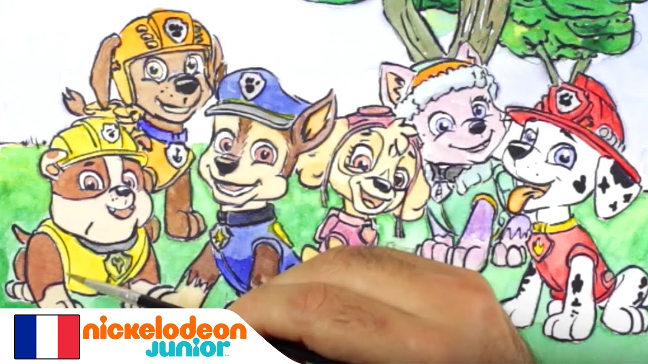 1, 2, 3… Coloriage ! | La Pat'Patrouille | La patrouille sous un arbre! | NICKELODEON JUNIOR