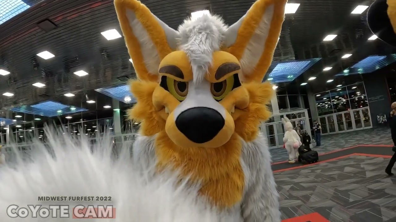 Midwest Furfest 2022 (more footage) 