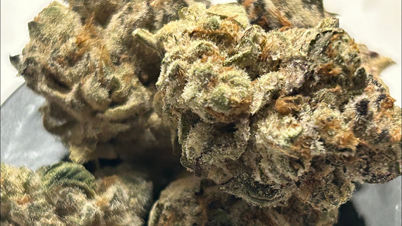 Smoke and Ride | Cannabis Review | Dr Greenthumbs | #5280 | 