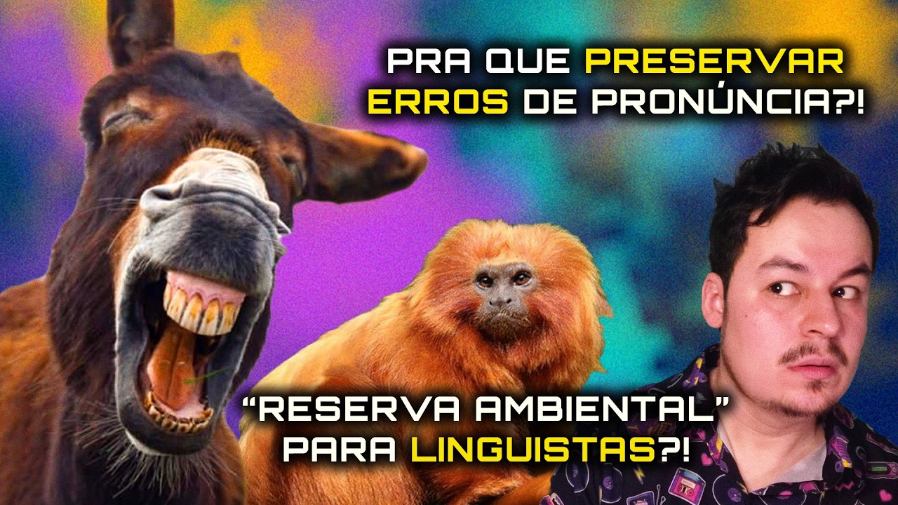 A IMPORTÂNCIA do 