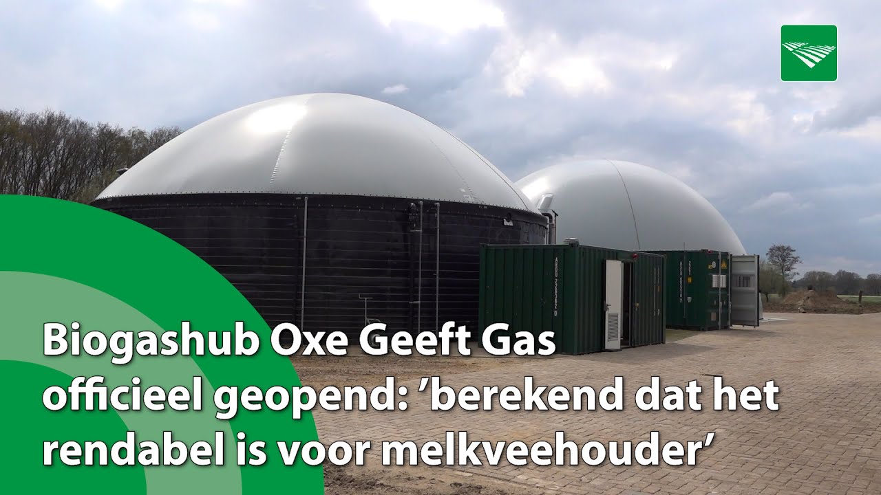 Biogashub Oxe Geeft Gas officieel geopend: ‘Rendabel voor melkveehouder’