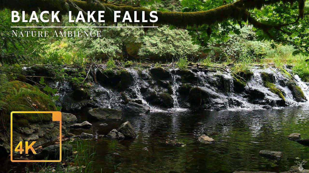 Enchanting Mossy Waterfall Flowing Into A Creek - 5 Hours