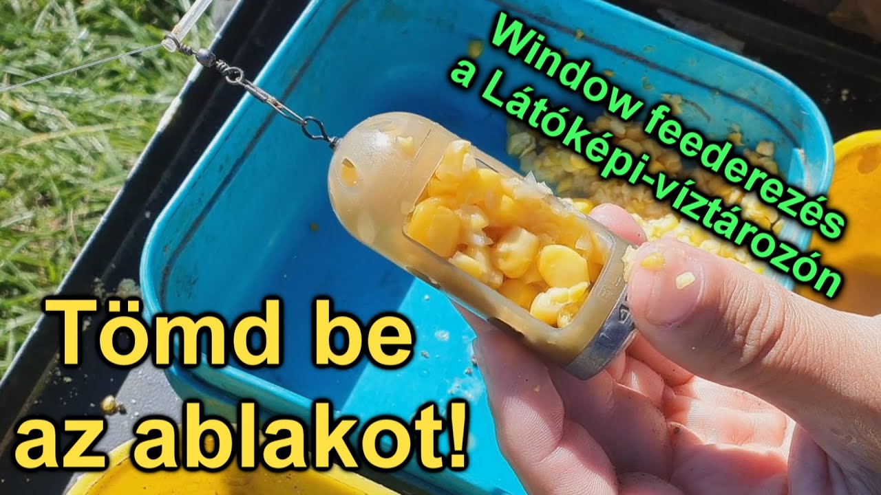 Tömd be az ablakot! - Window feederezés a Látóképi-víztározón