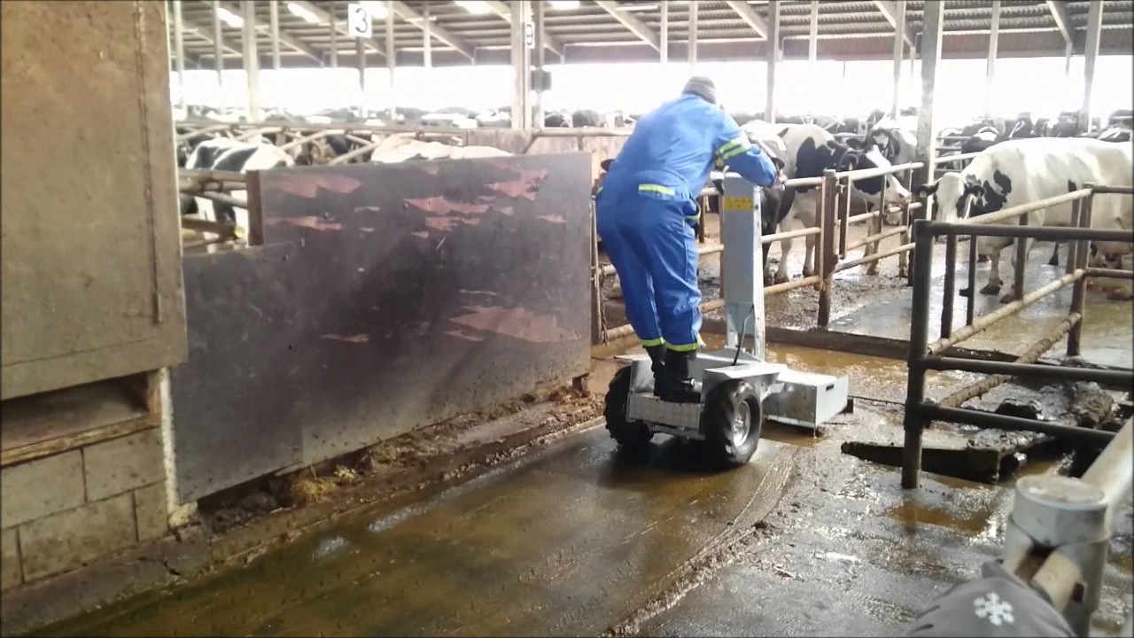 Westermann CMA Elektro 800