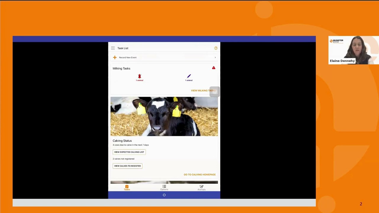Inside FarmOps: Managing Calf Registrations, Movements & Health Events