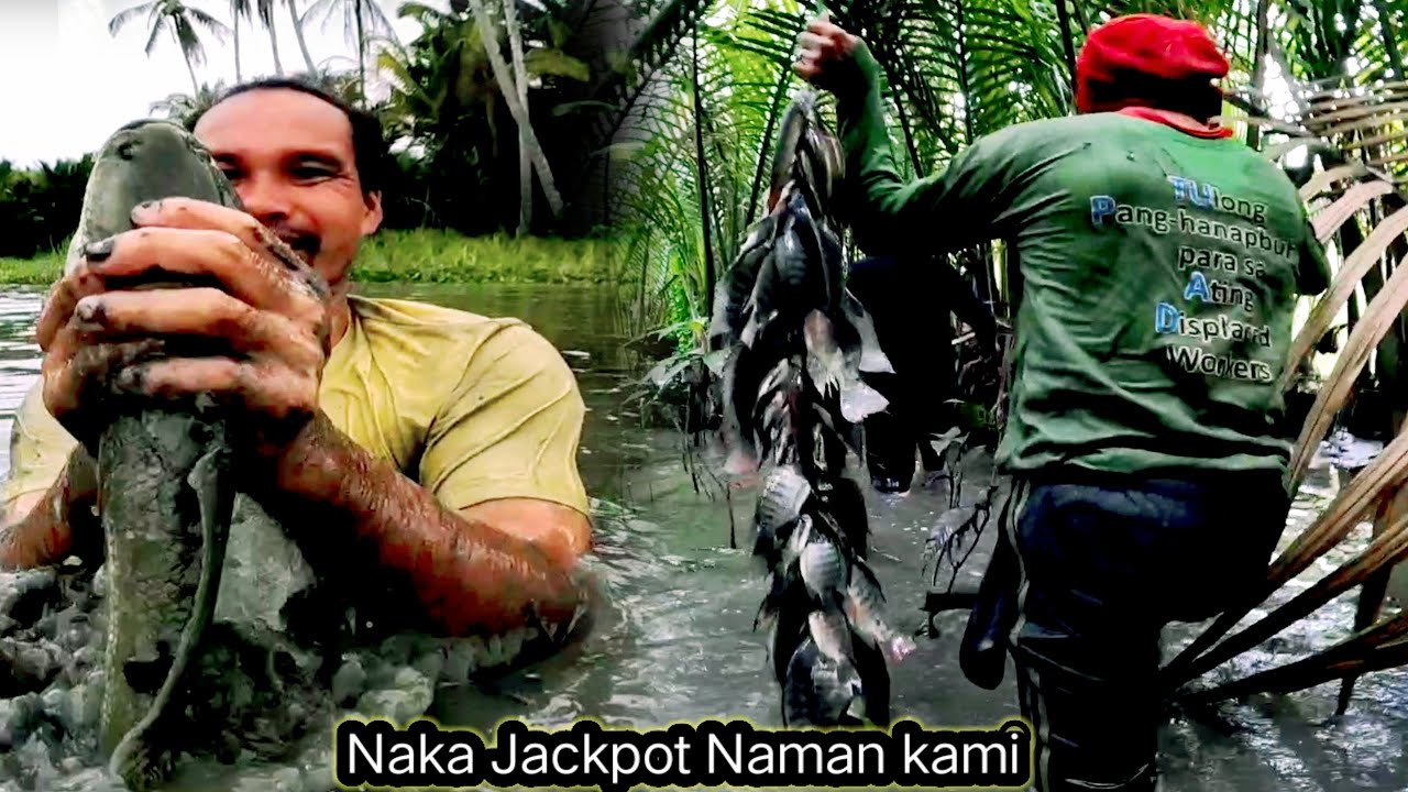 Jackpot Naman kami sa kinapaan namin Ang lalaki ng tilapia at dalag