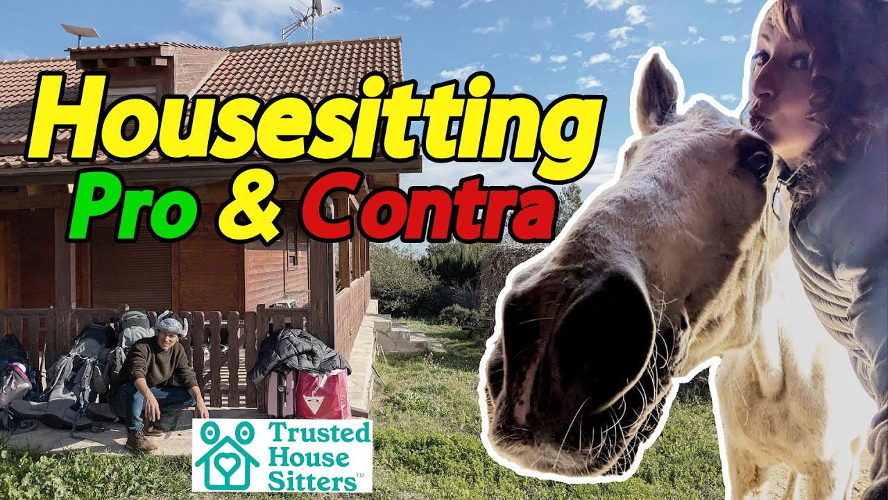Housesitting Erfahrungen