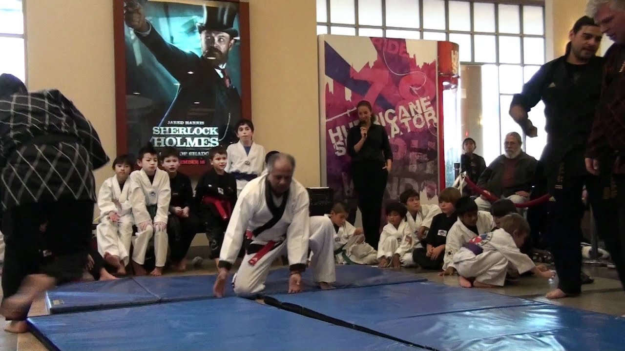 Andres Martial Arts HAPKIDO Demonstration 12/4/11 Burbank Town Center Mall