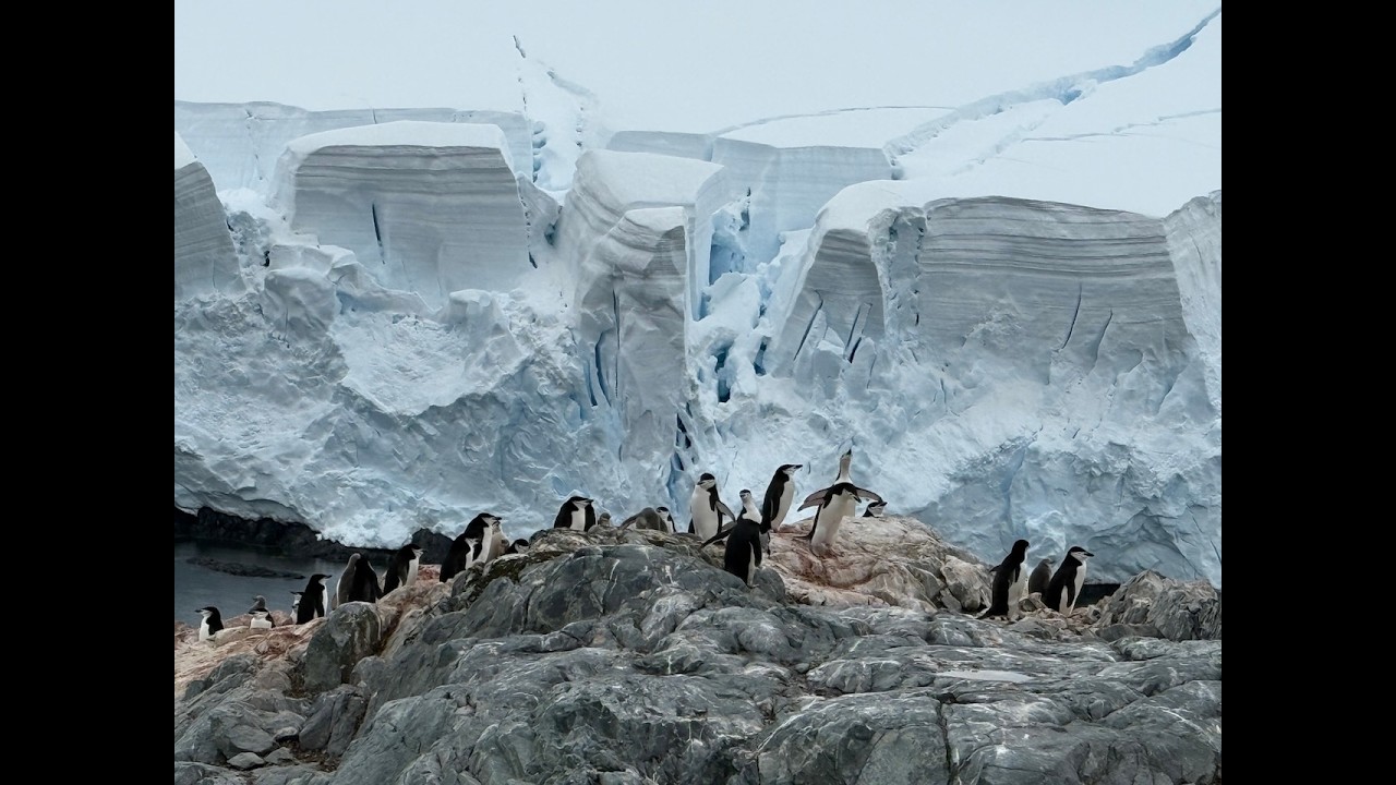 Antartica Patagonia 2026