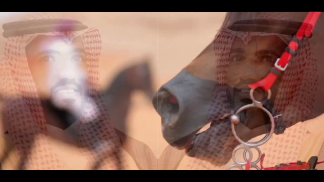 شيلة جسااار  اداء المنشد نايف الجميلي الحربي