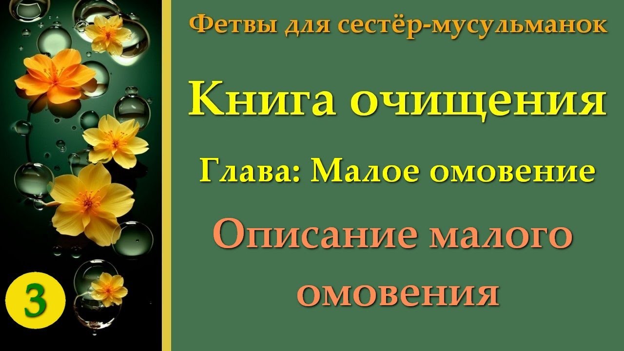 3. Книга Очищения (Описание малого омовения)